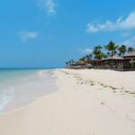 Aruba, Bonaire of Curaçao? De verschillen op een rij
